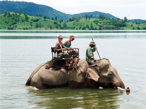 Cưỡi voi qua hồ Lắk (Đắk Lắk)